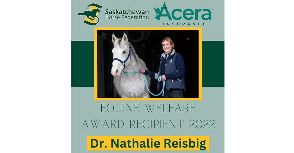 Equine Welfare Award 2022